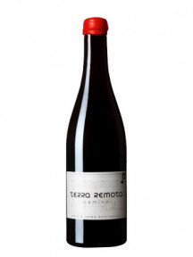 Terra Remota Camino 2019
