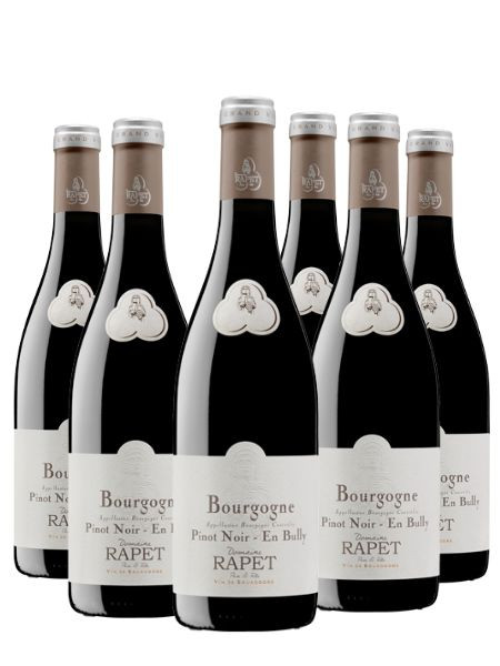 Domaine Rapet Bourgogne En Bully 2021