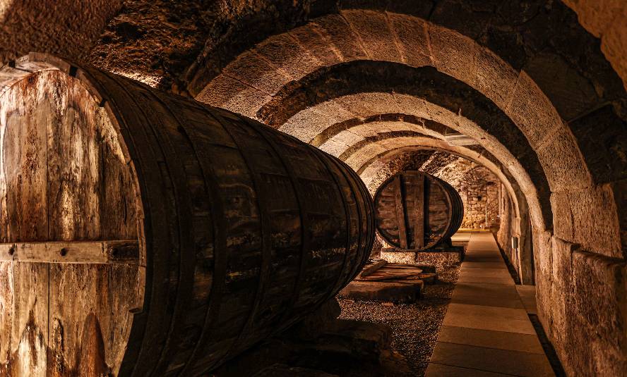 Interior de una bodega subterránea. Coleccionismo de vinos.