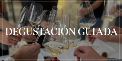descubrimientos