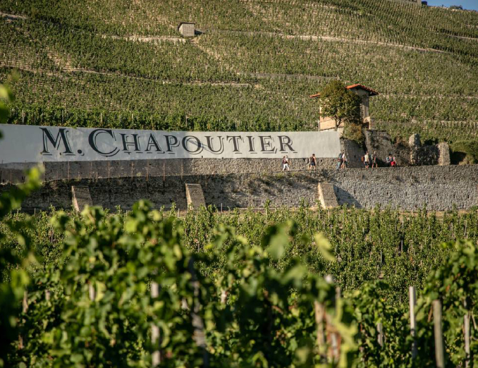 m chapoutier