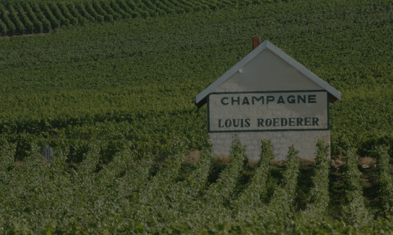 BodegaLouis Roederer