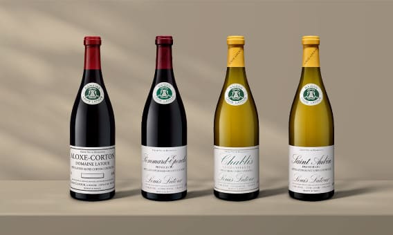 Especial Louis Latour