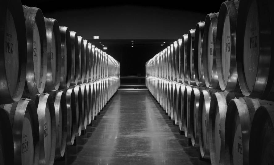 Almacenar grandes vinos en España: opciones para cuidar de su bodega